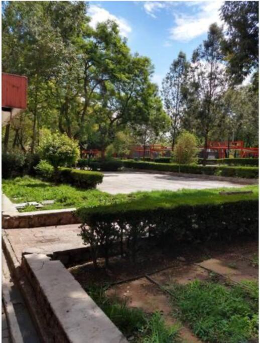 Depto Equipado, A Min Del Centro Historico, Cdmx. Apartment Ciudad de México Exterior foto